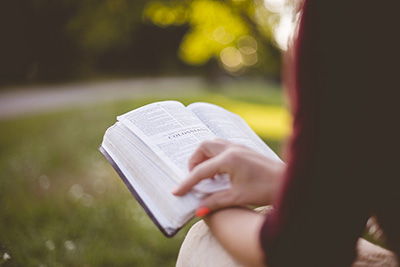 Woman reading the Bible