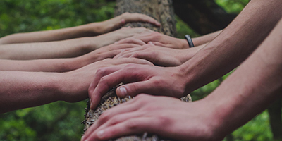 Various hands on a tree trunk