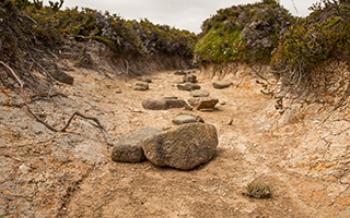 Dry creek bed in Tasmania, Australia